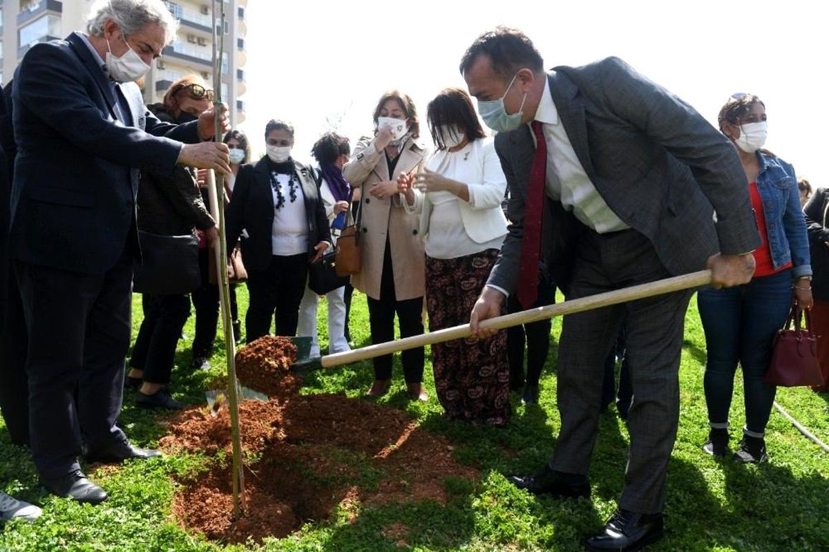 Mimozalar Yenişehir\'de toprakla buluştu