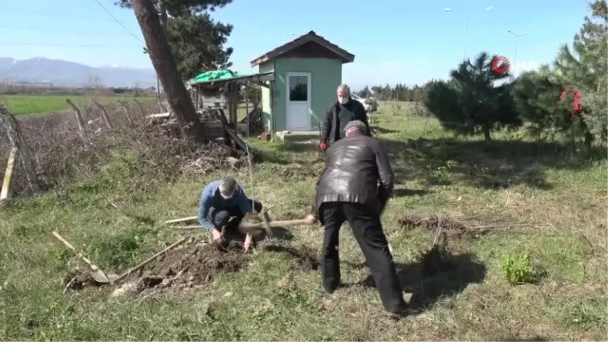 2005\'ten bu yana şehitler için fidan dikiyorlar