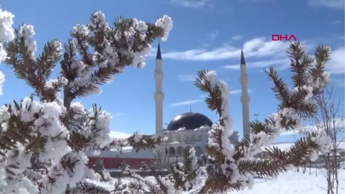 Son dakika haberi! Ardahan\'da sokağa çıkmaya kısıtlama değil, soğuk engel oldu