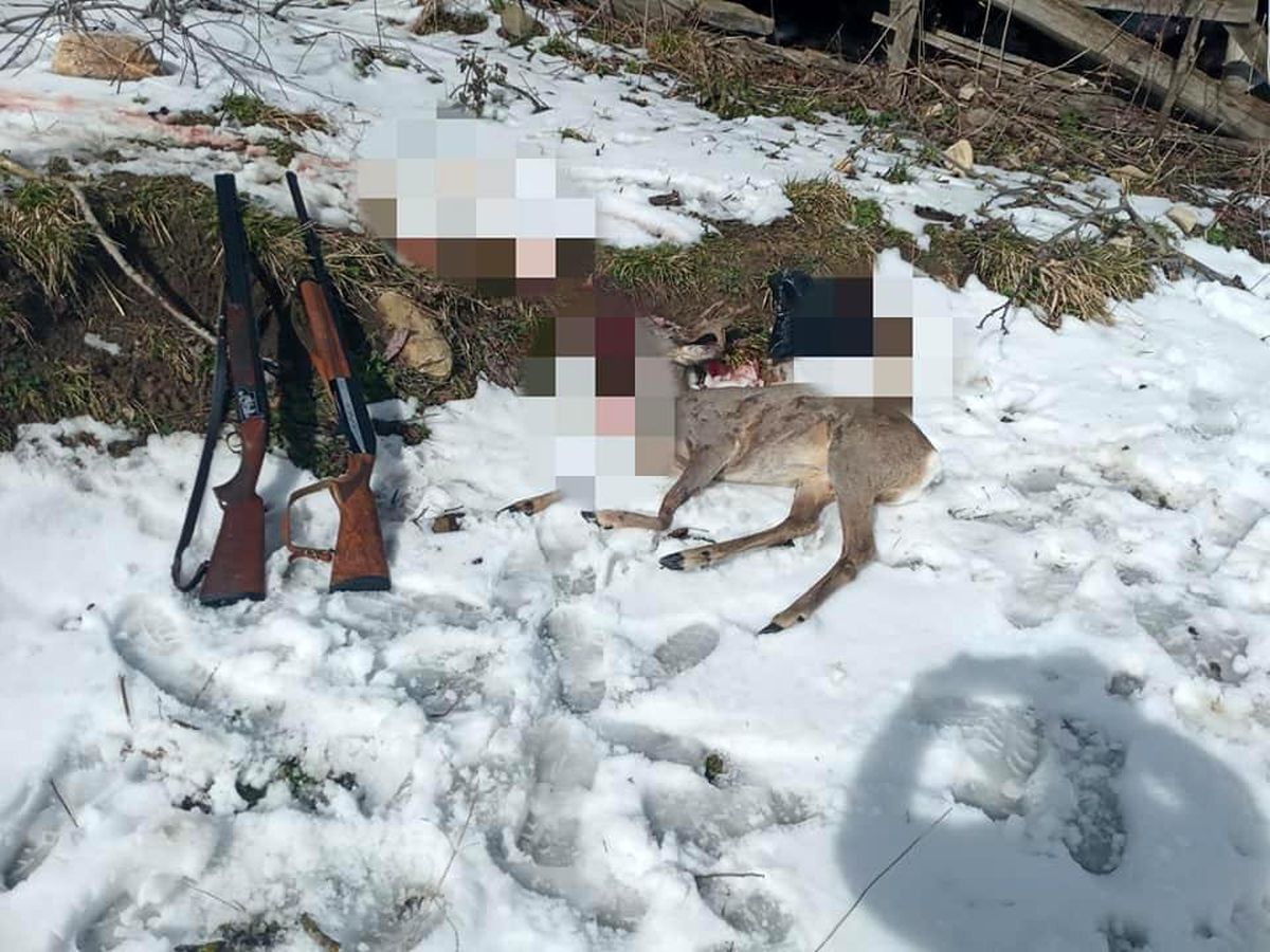 Avı yasak karacayı avlayınca suçüstü yakalandılar