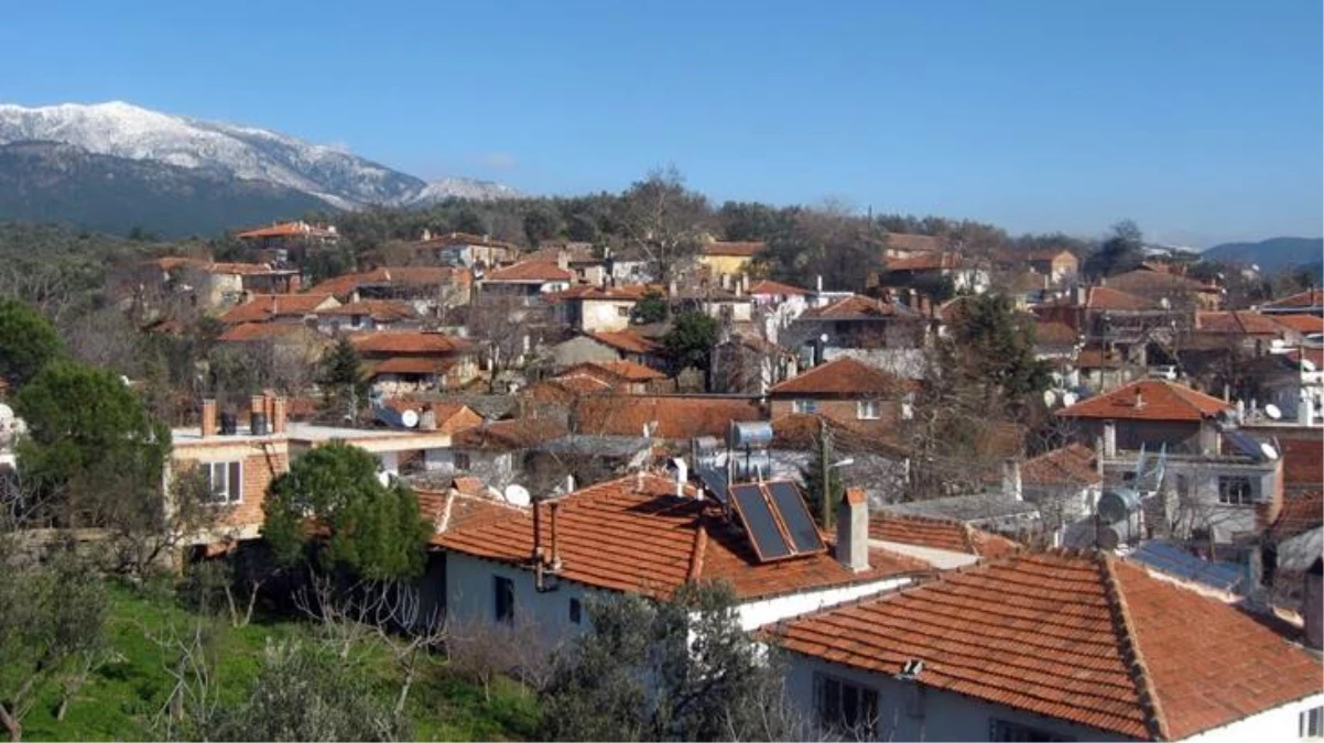 Bu zamana kadar tek vaka dahi görülmedi! İşte kırmızı şehrin mavi köyü Hacıarslanlar\'ın başarı sırrı