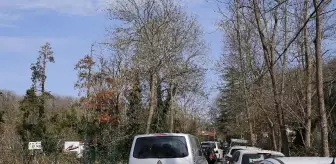 Güneşli havayı gören vatandaşlar kısıtlamanın ikinci haftasında Belgrad Ormanına akın etti