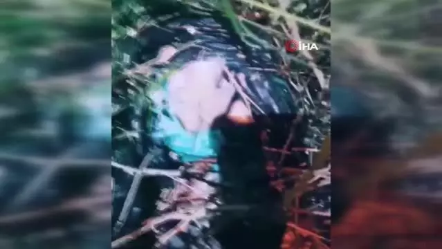 İskenderun'da 14 bin 700 adet uyuşturucu hap ele geçirildi İskenderun'da 14 bin 700 adet uyuşturucu hap ele geçirildi