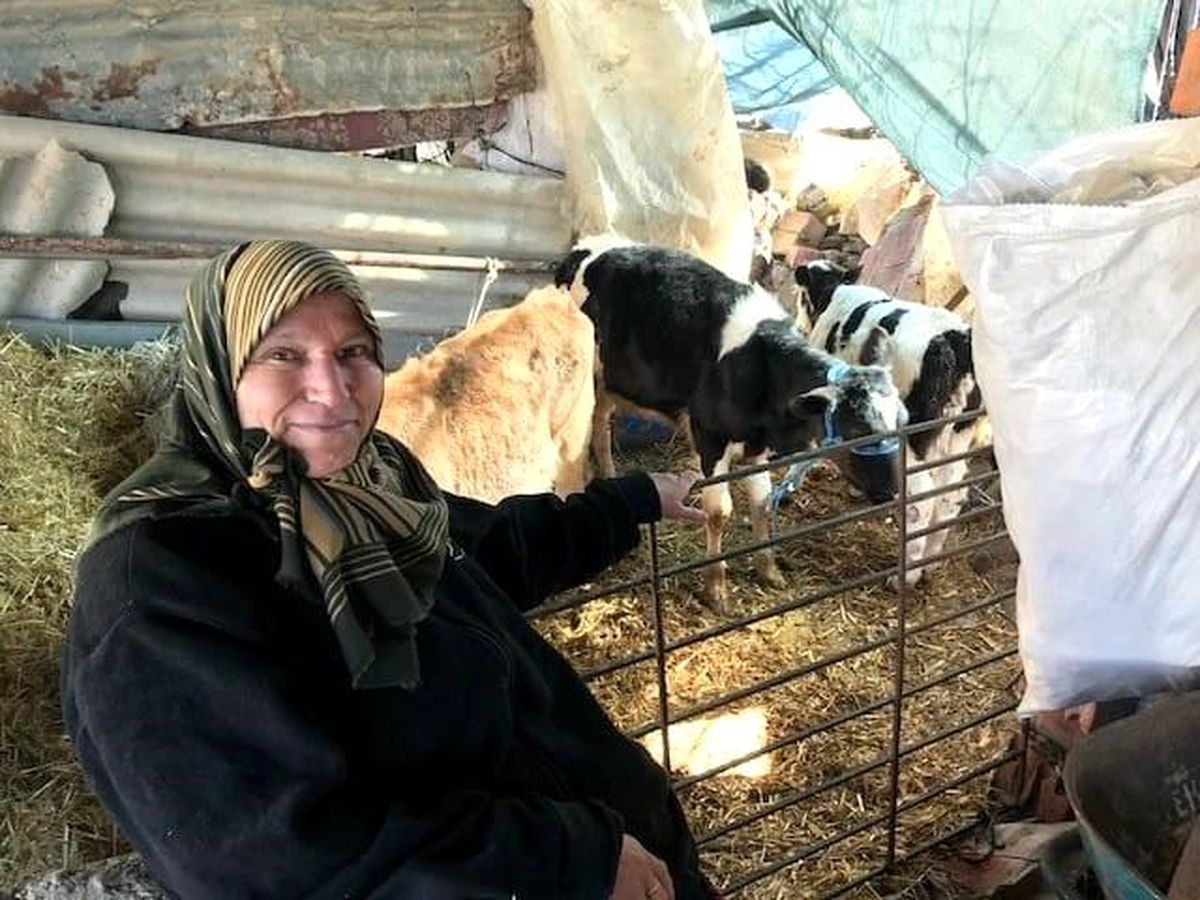 Kendi işini kurmak isteyen engelliler için \'hibe desteği\' başvuruları başladı