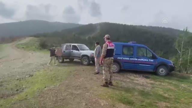 Tedavisi tamamlanan kızıl şahin doğaya salındı Tedavisi tamamlanan kızıl şahin doğaya salındı