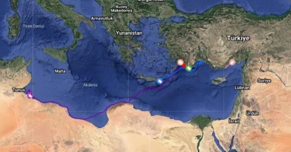 ANTALYA Uydu takip cihazlı 12 Caretta caretta'dan 9'u Türkiye'de kaldı