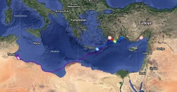 ANTALYA Uydu takip cihazlı 12 Caretta caretta'dan 9'u Türkiye'de kaldı