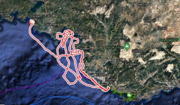 ANTALYA Uydu takip cihazlı 12 Caretta caretta'dan 9'u Türkiye'de kaldı