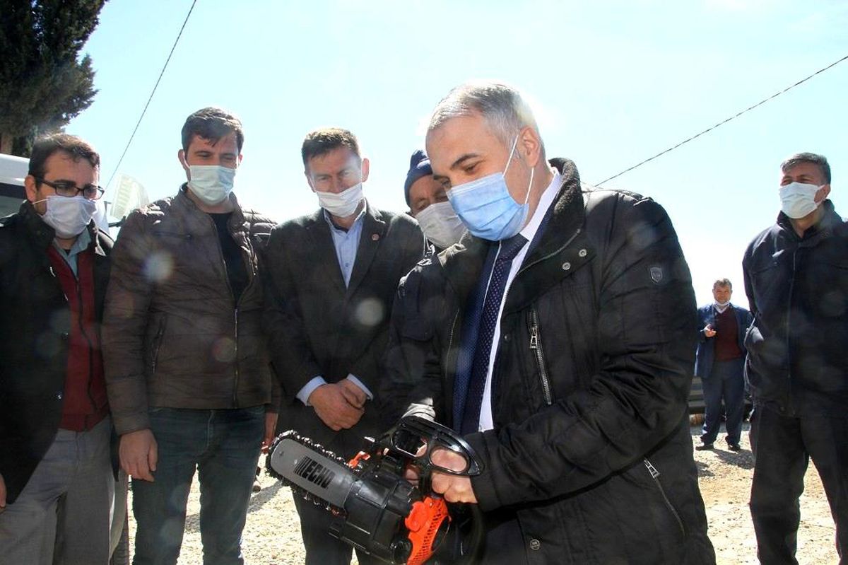 Yabani ahlat ağaçları ekonomiye kazandırılacak