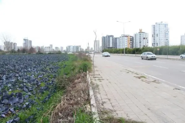 ADANA Yol kenarındaki arazilerde üretilen 'tarımsal' gıdalardaki tehlike