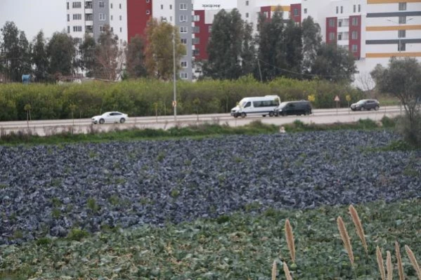 ADANA Yol kenarındaki arazilerde üretilen 'tarımsal' gıdalardaki tehlike