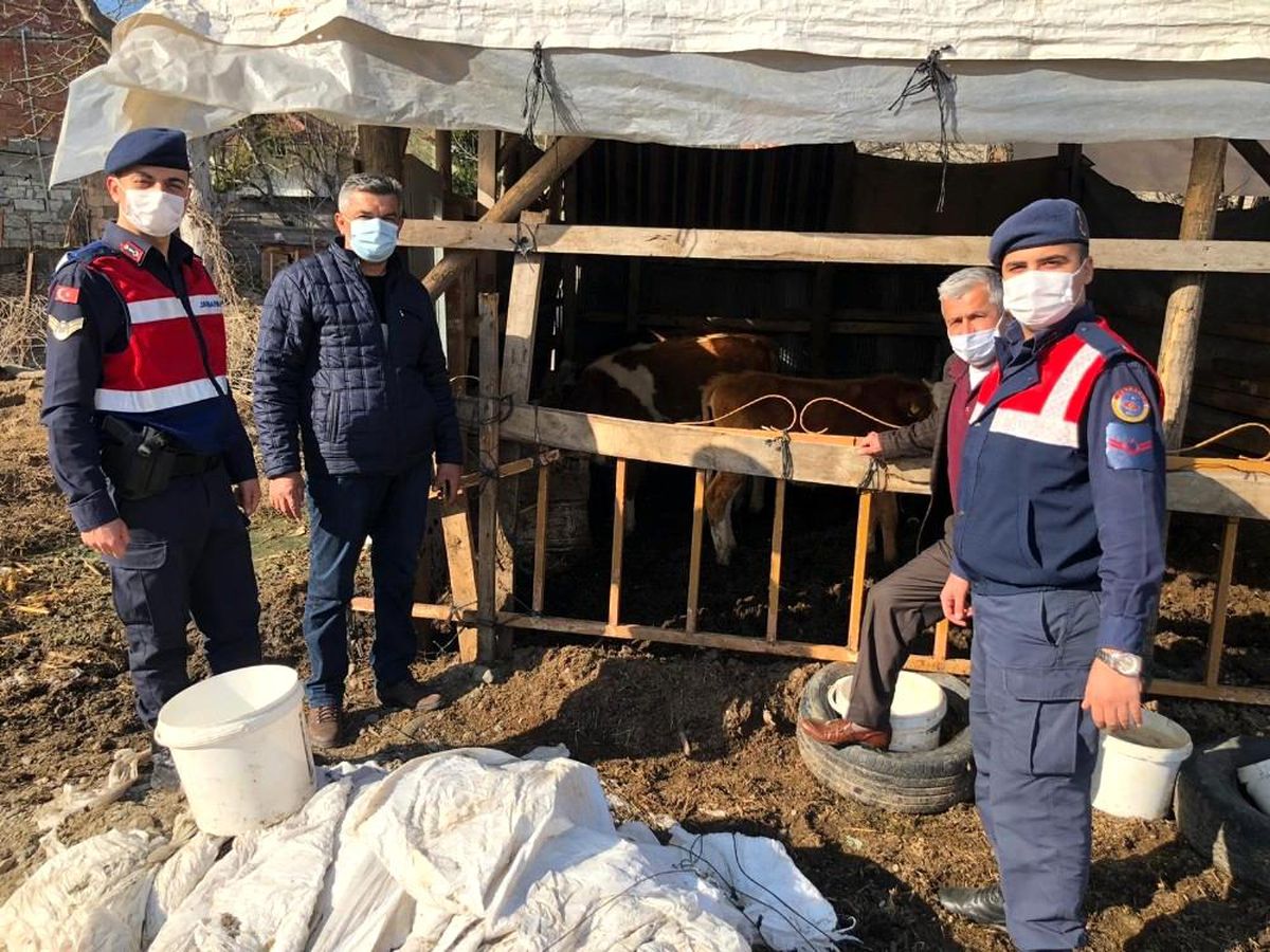 Son dakika! Bir aydır kayıp olan hayvanlarını jandarma drone ile buldu