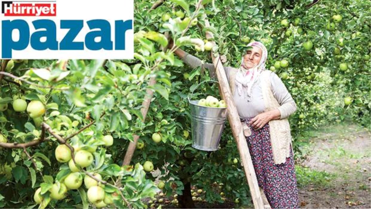 \'Köy, çiftlik, doğal\' yazısına güvenip organik etiketine şüpheyle bakıyorlar!