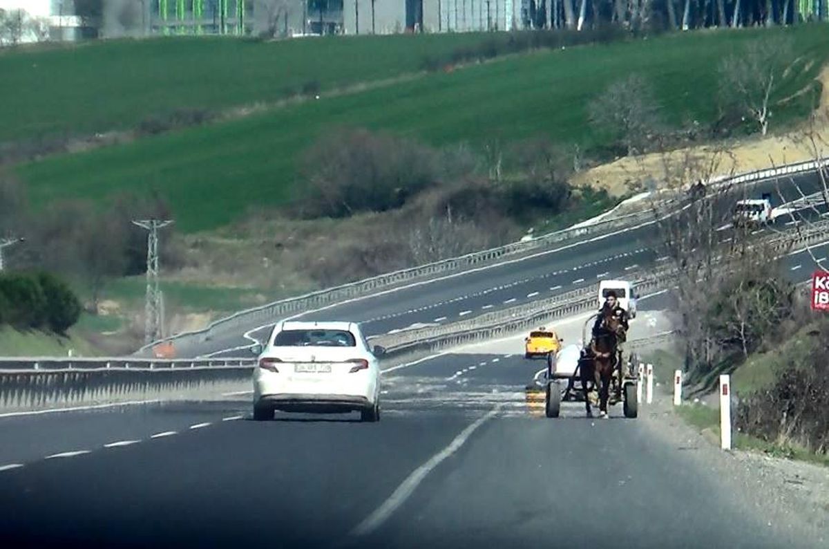 Ters şeride giren at arabası korkuttu