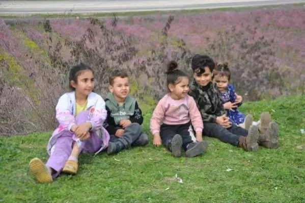 HATAY Amik Ovası'nda meyve bahçeleri rengarenk oldu