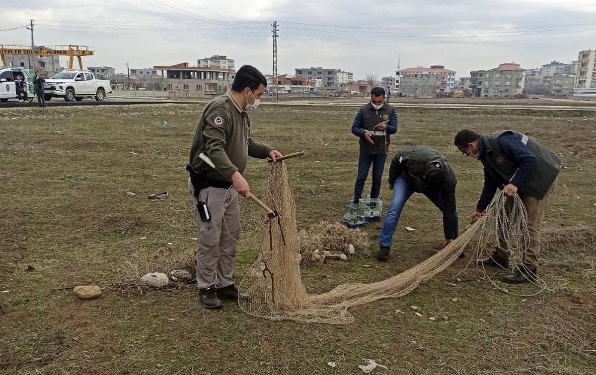 Koruma altında olan kuşları avlayan kişiye 5 bin 879 lira ceza kesildi