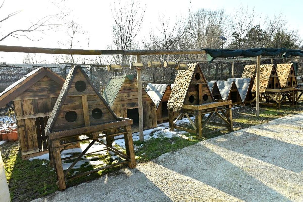 Büyükşehir\'den can dostlara çevreci ahşap yuvalar