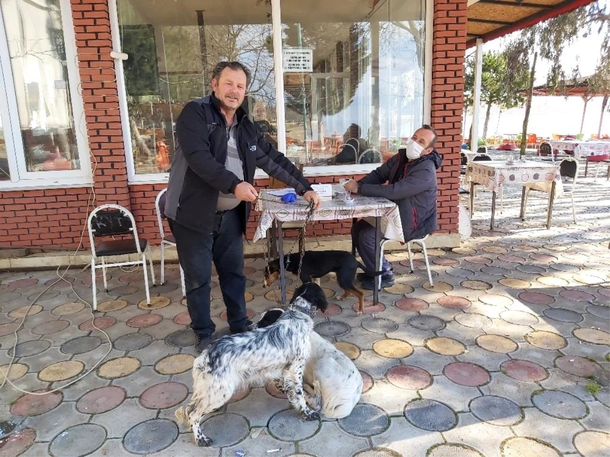 İznik\'te köpeklere kuduz aşısı