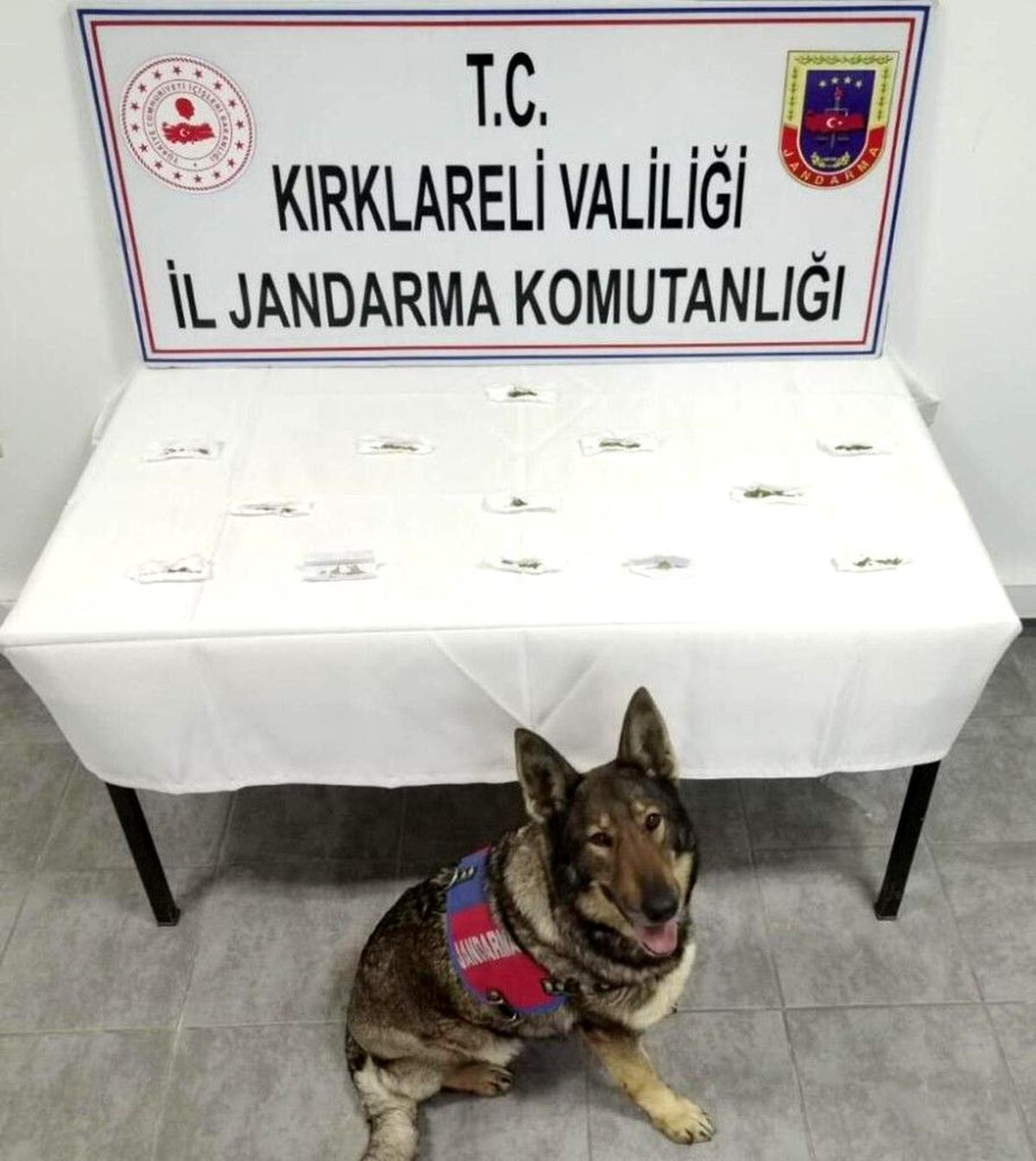 Kırklareli\'de jandarma, şüpheli araçta uyuşturucu buldu