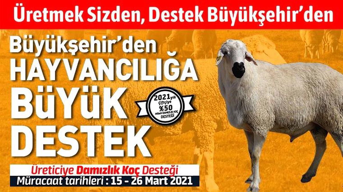 Konya Büyükşehir\'den hayvancılığa destek