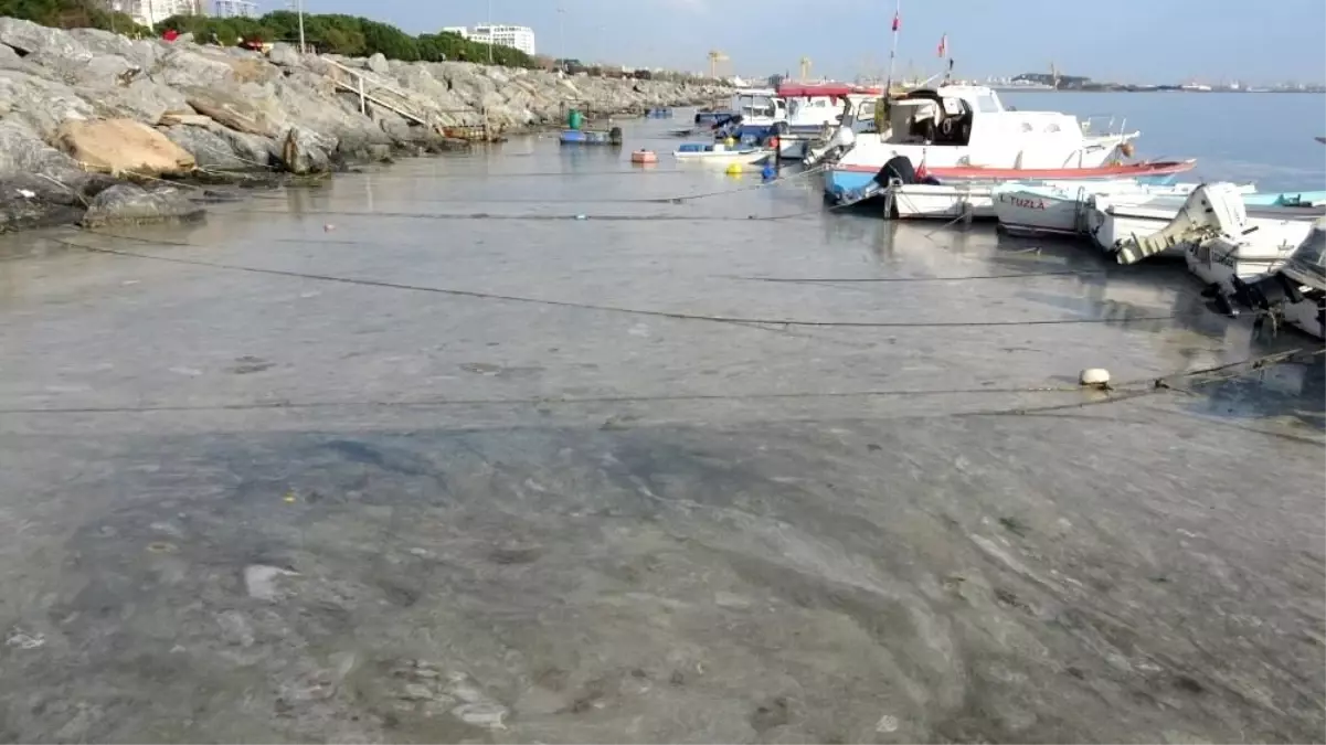 Pendik\'te korkutan görüntünün gerçek nedeni belli oldu