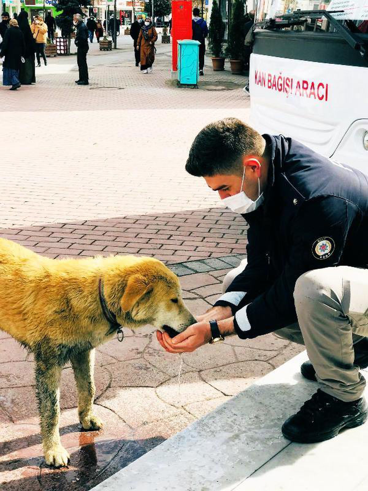 Bolu\'da polis, sokak hayvanlarını elleriyle besliyor