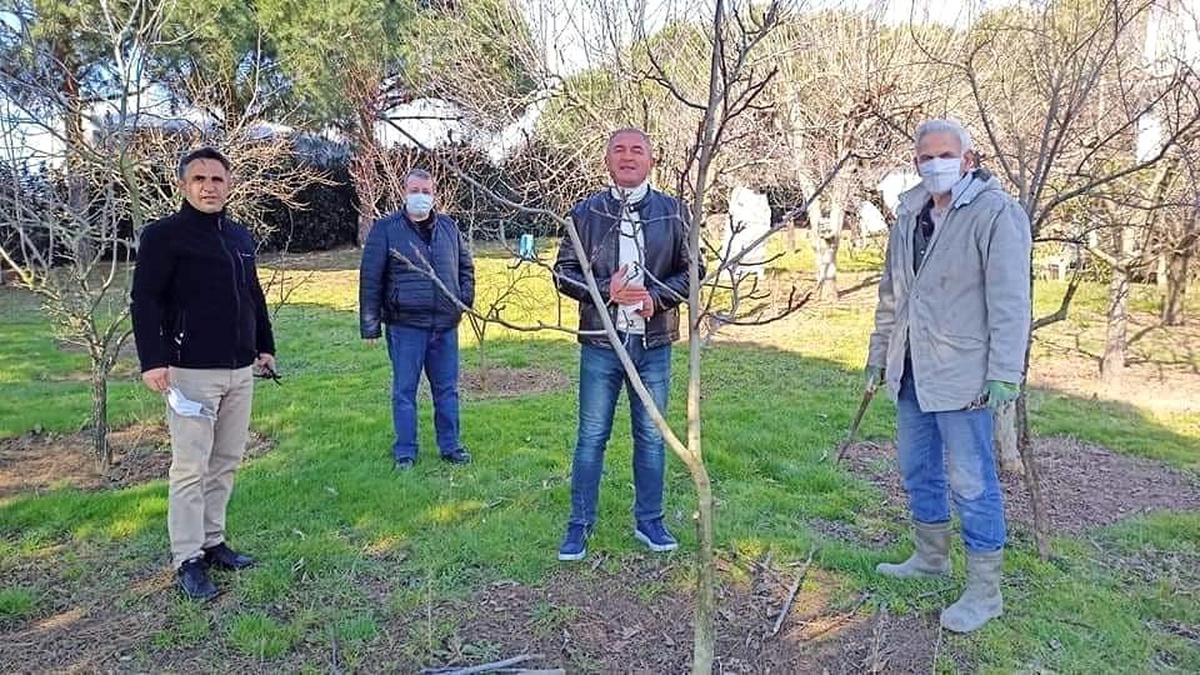 Ekinler ve meyve bahçeleri incelendi