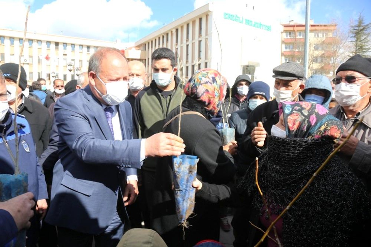 Ereğli Belediyesi\'nden vatandaşlara 30 bin fidan