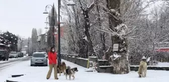 Kars, kar yağışıyla bembeyaz