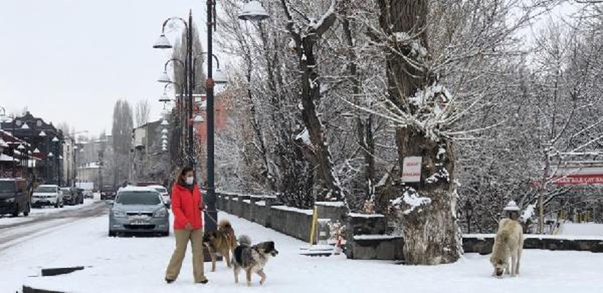 Kars, kar yağışıyla bembeyaz