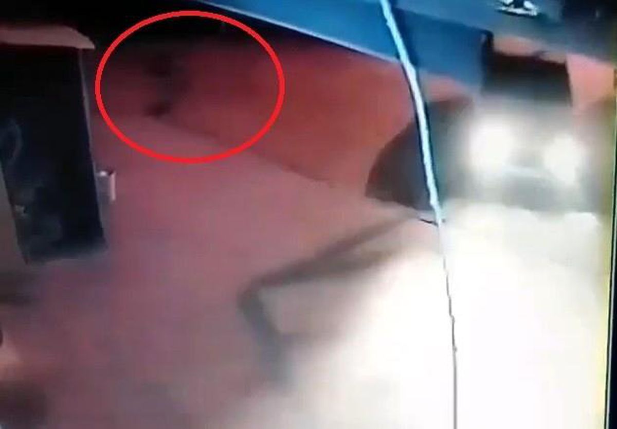 Köpeği ezdi, arkasına bakmadan gitti