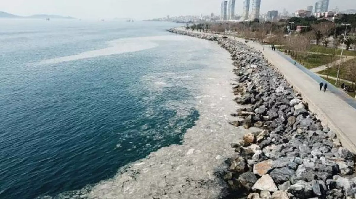 Pendik ve Kartal sahilindeki kirliliğin sebebi belli oldu: Deniz salyası