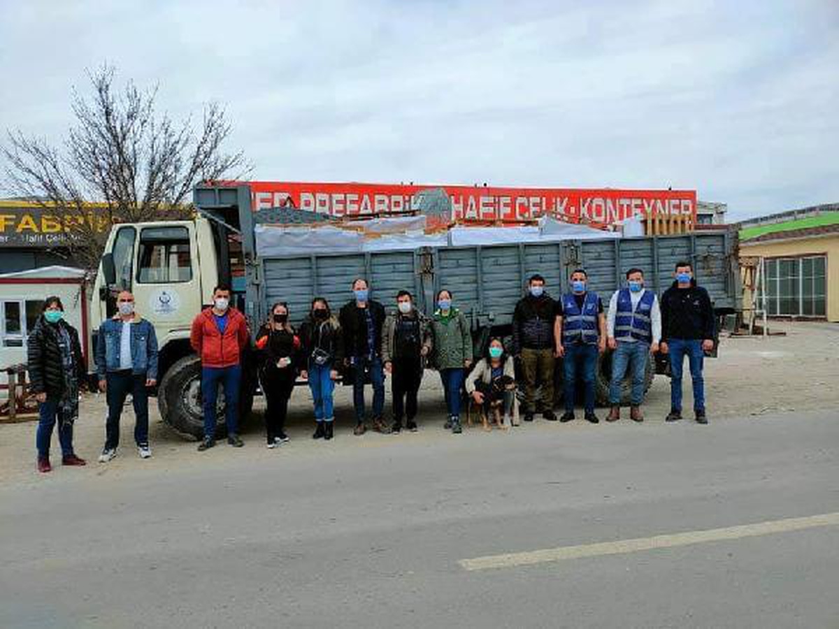 Sokak köpekleri için sosyal medyada buluştular