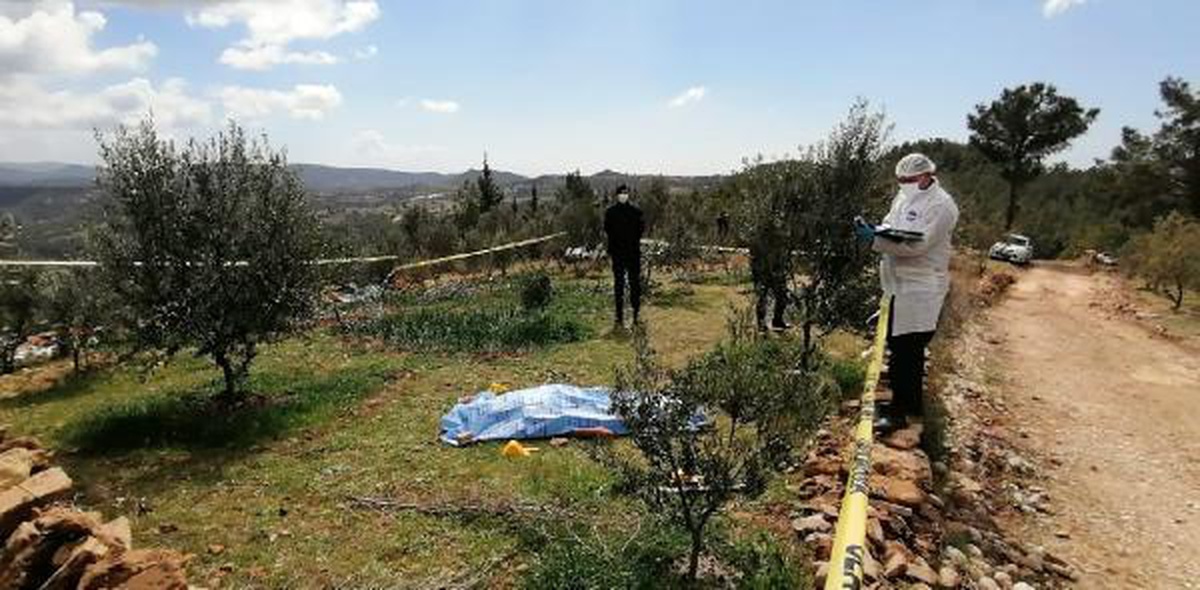 Son Dakika | Zeytin ağaçlarını kestiği gerekçesiyle tartıştığı ağabeyini öldürdü