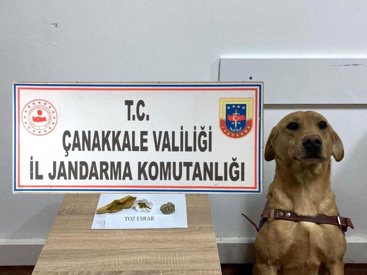 Çanakkale\'de uyuşturucu operasyonu: 5 gözaltı