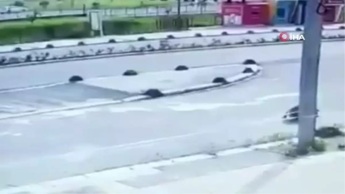 Hastane bahçesinde köpeği ezen doktor: "İnsanlığıma laf söyletmem, kasten zarar vermedim"