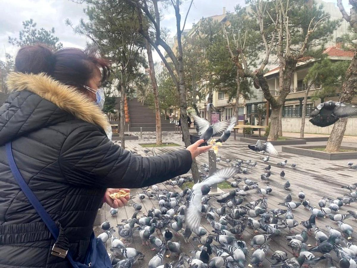 Hayvan sevgisi bu olsa gerek