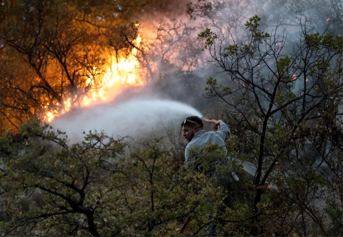 Meksika\'da korkutan orman yangını: 400 kişi tahliye edildi