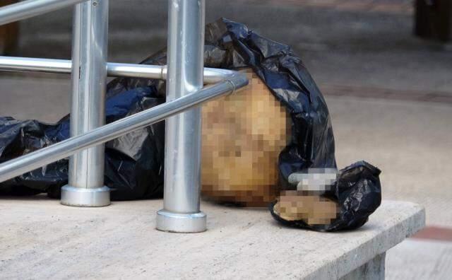 Üniversite bahçesinde insana ait bir kafatası bulundu Üniversite bahçesinde insana ait bir kafatası bulundu