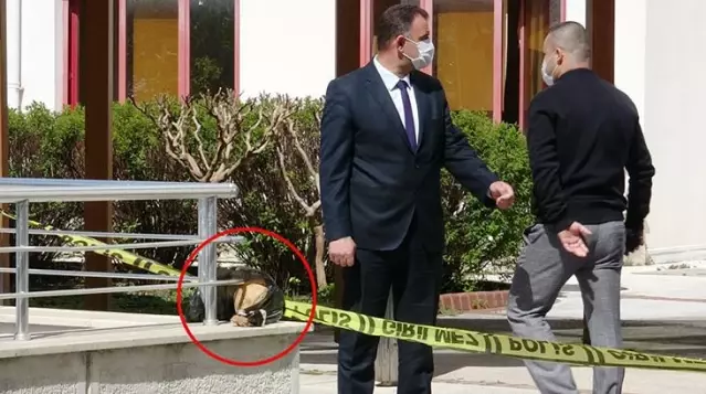 Üniversite bahçesinde insana ait bir kafatası bulundu Üniversite bahçesinde insana ait bir kafatası bulundu