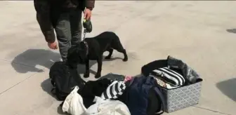 105 gram kokaini 'Gece' buldu