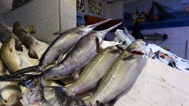 Karadeniz'de yeterli av olmayınca Trabzon Balık Halinde İzmir ve İstanbul'dan gelen balıklar satışa sunuldu