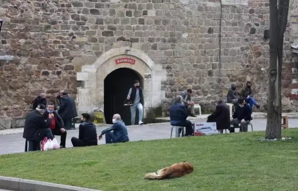 TEKİRDAĞ Prof. Dr. Ertuğrul İngiltere mutasyonu hakim olursa salgın hız kazanacak