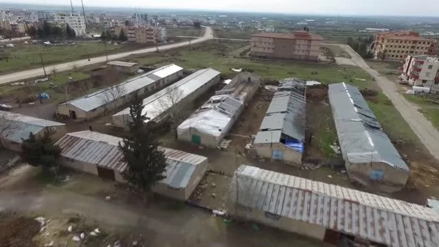 ŞANLIURFA - Kadın girişimci ödev olarak incelediği solucan gübresinin üreticisi oldu