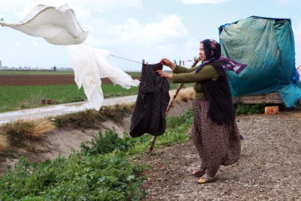 ADANA Baba mesleği hayvancılığa devam eden İpek ailesi, yaşamlarını çadırda sürdürüyor