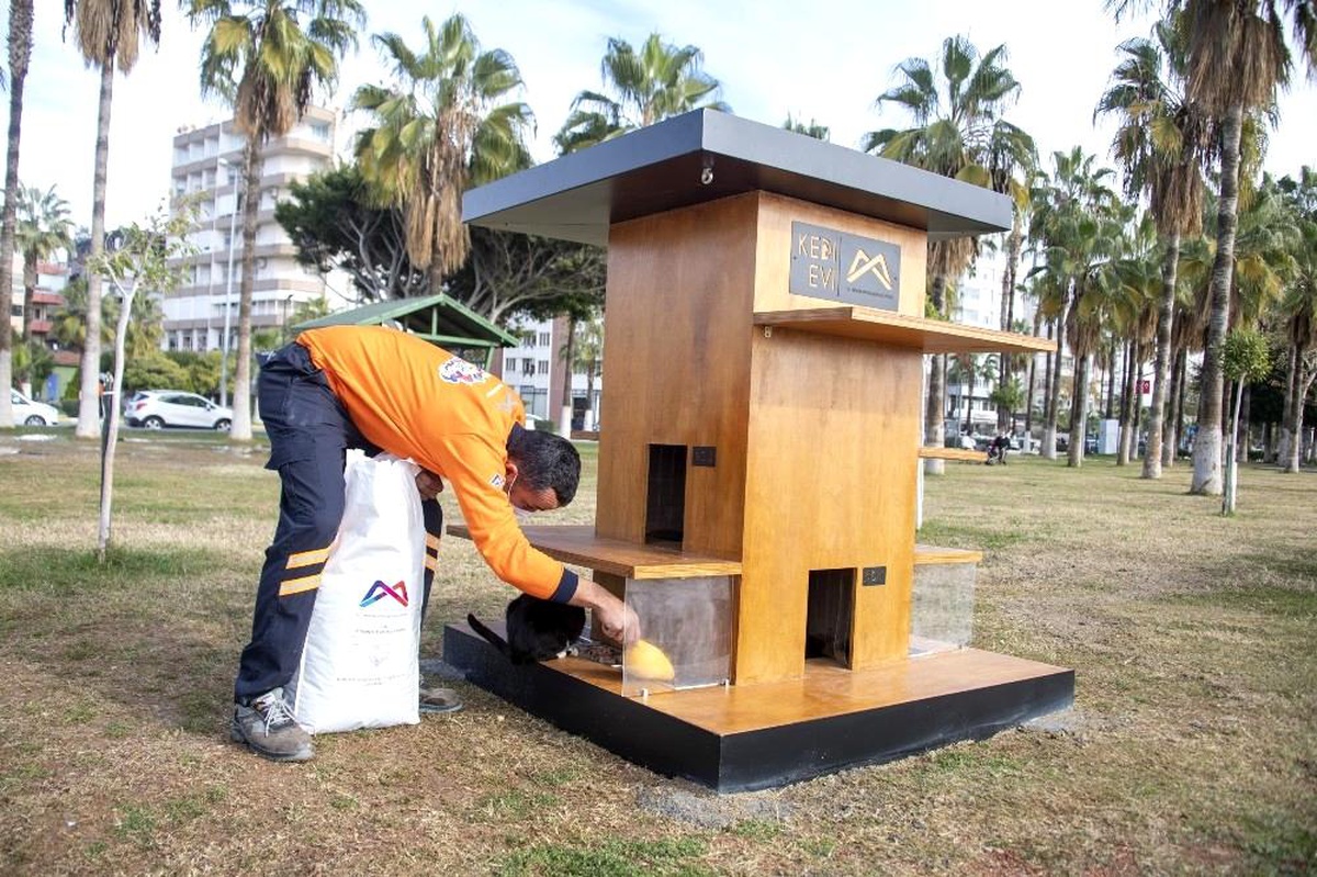 Büyükşehir Belediyesinden \'Miyav Park\' açıklaması