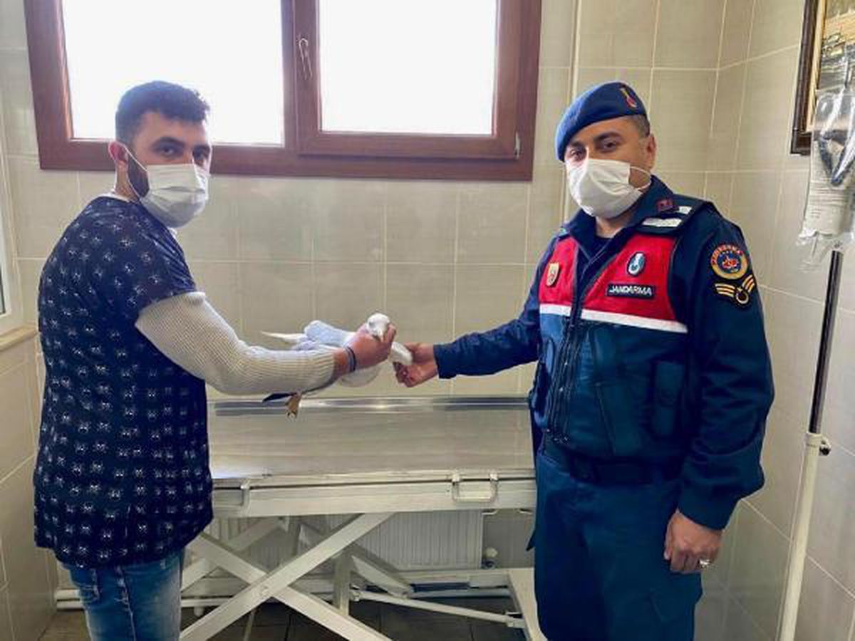 Son dakika haberleri | Jandarma sol ayağı kopmuş martı buldu