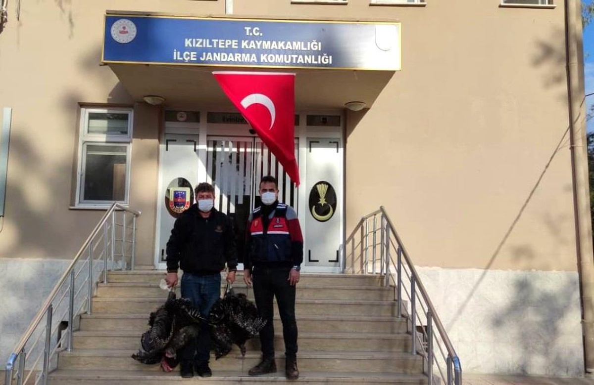 Son dakika... Kızıltepe\'de kümes hırsızları, 27 kamera takibe alınarak yakalandı