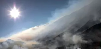 Meksika'da devam eden orman yangınları 7 bin hektarlık alanı küle çevirdi