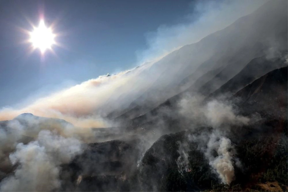 Meksika\'da devam eden orman yangınları 7 bin hektarlık alanı küle çevirdi